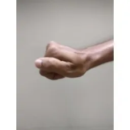 Hand Keypoints preview 1