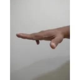 Hand Keypoints preview 3