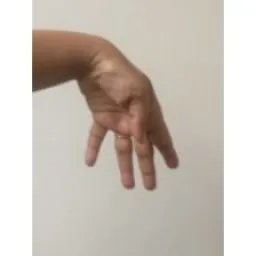 Hand Keypoints preview 3