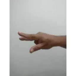 Hand Keypoints preview 3