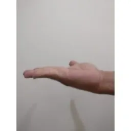 Hand Keypoints preview 2