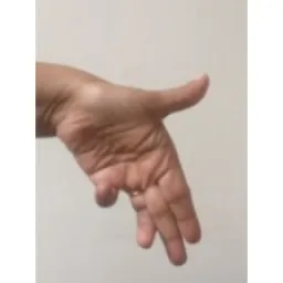 Hand Keypoints preview 2