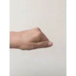 Hand Keypoints preview 1