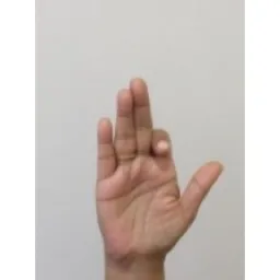 Hand Keypoints preview 4