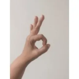 Hand Keypoints preview 4