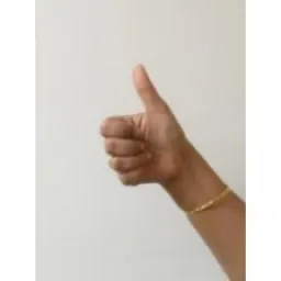 Hand Keypoints preview 3