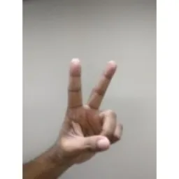 Hand Keypoints preview 2