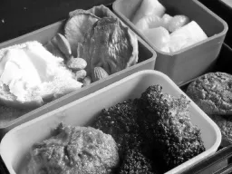 coco8 grayscale preview 4
