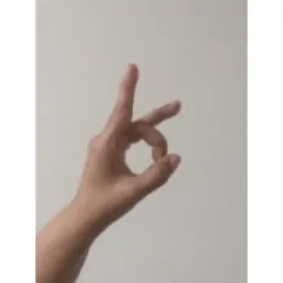 Hand Keypoints preview 1