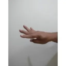 Hand Keypoints preview 3