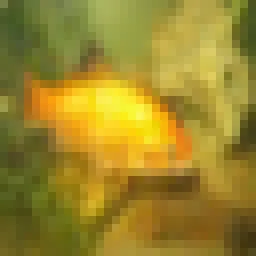 CIFAR-100 preview 3