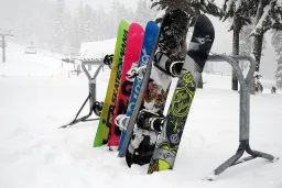 COCO128 preview 3