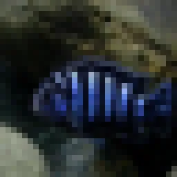 CIFAR-100 preview 3
