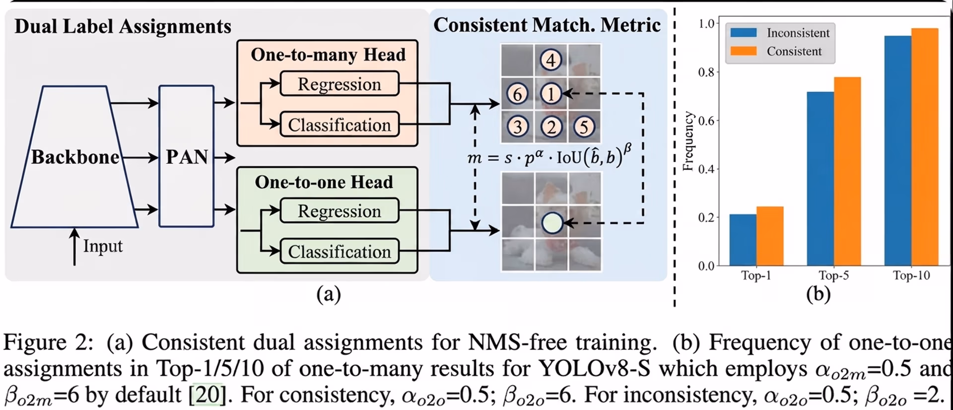 Diagram of YOLOv10 NMS-free training with dual-label assignments