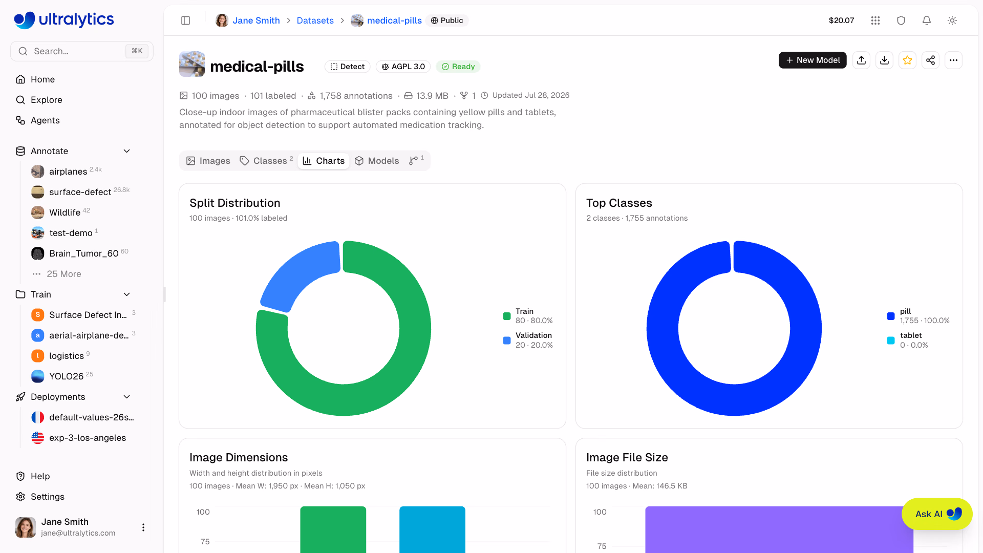 Ultralytics Platform Datasets Charts Tab Statistics Grid