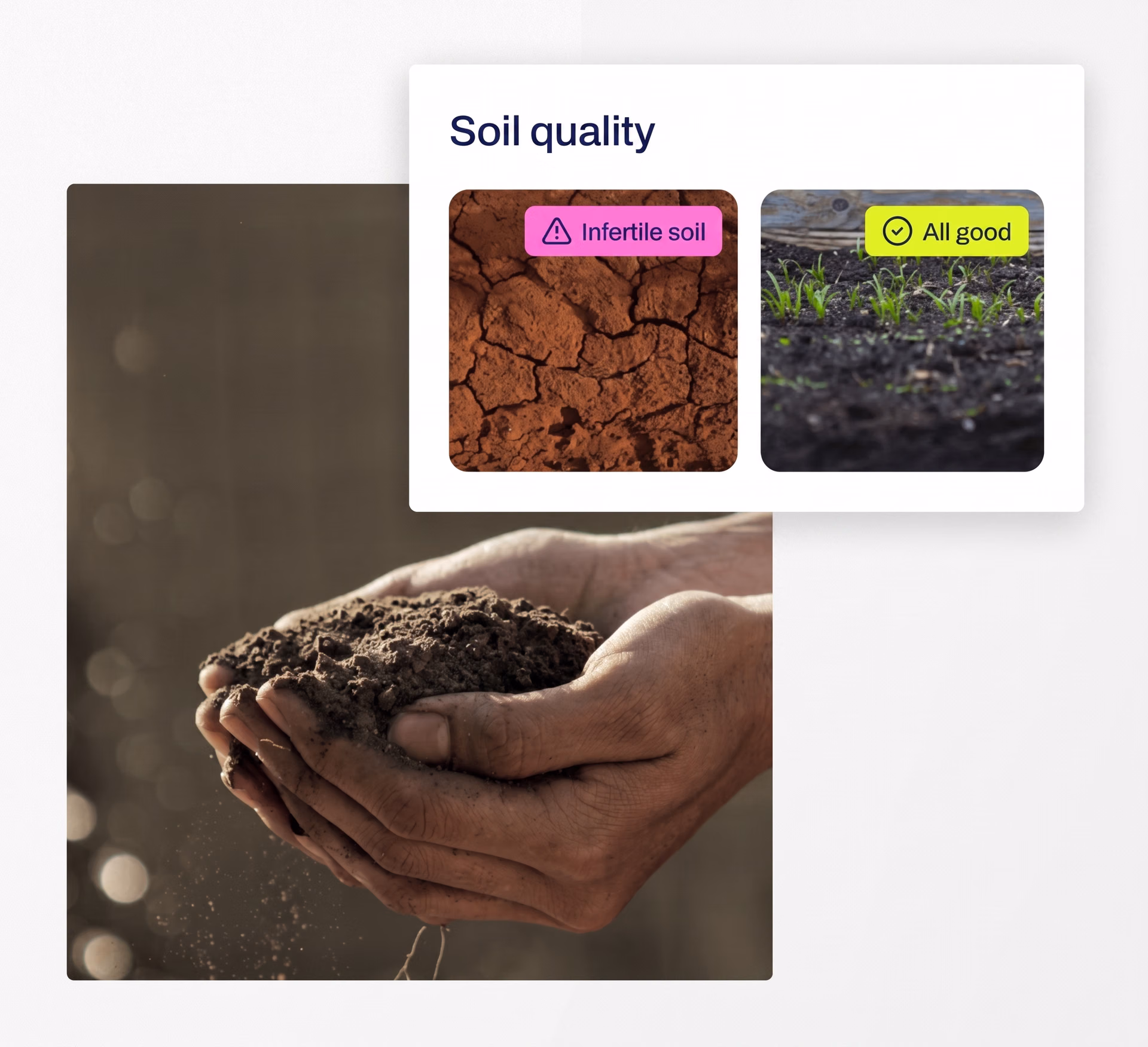 Ultralytics YOLO11 detecting healthy and unhealthy soil conditions