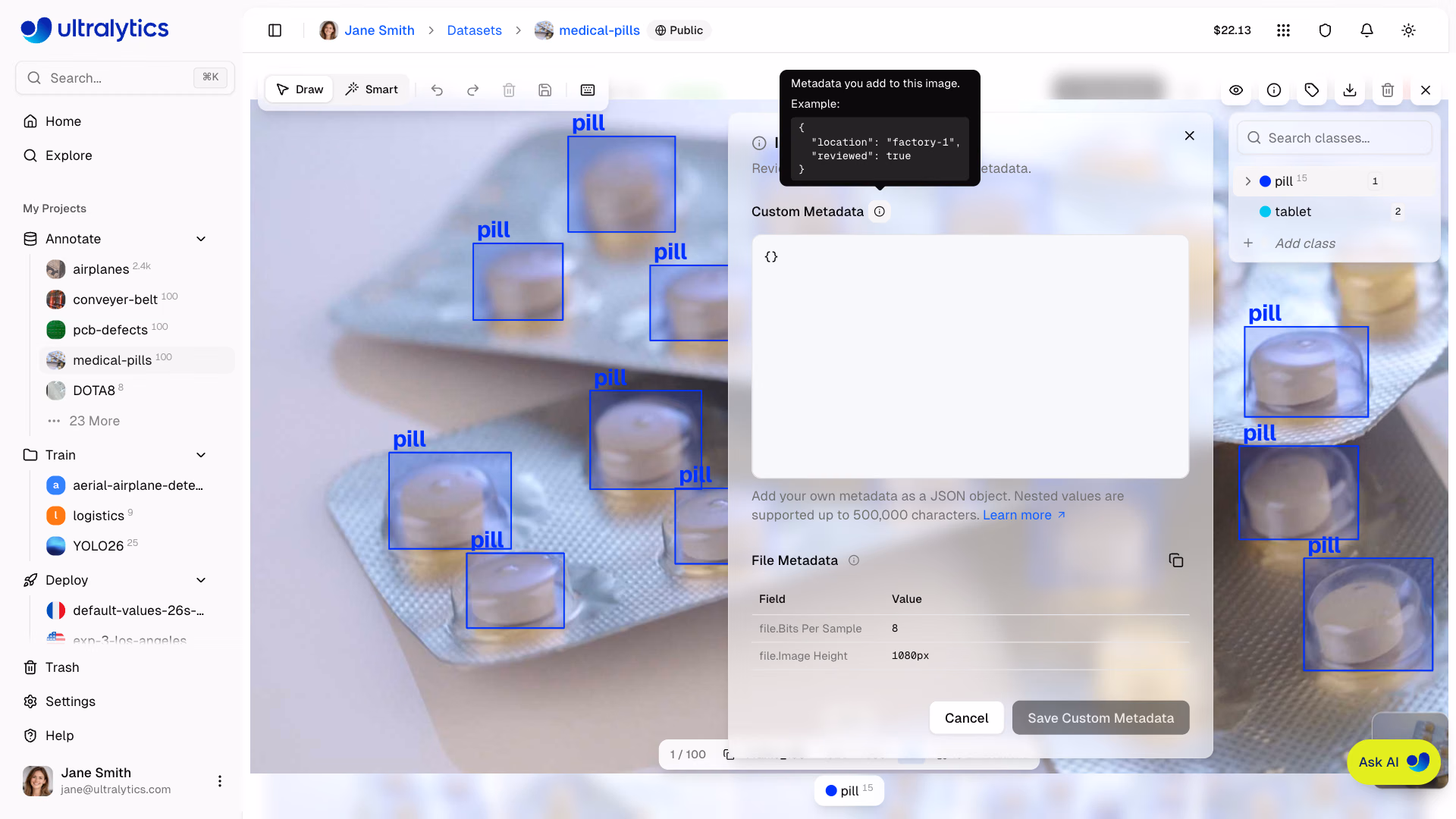 Ultralytics Platform Datasets Fullscreen Viewer With Metadata Panel