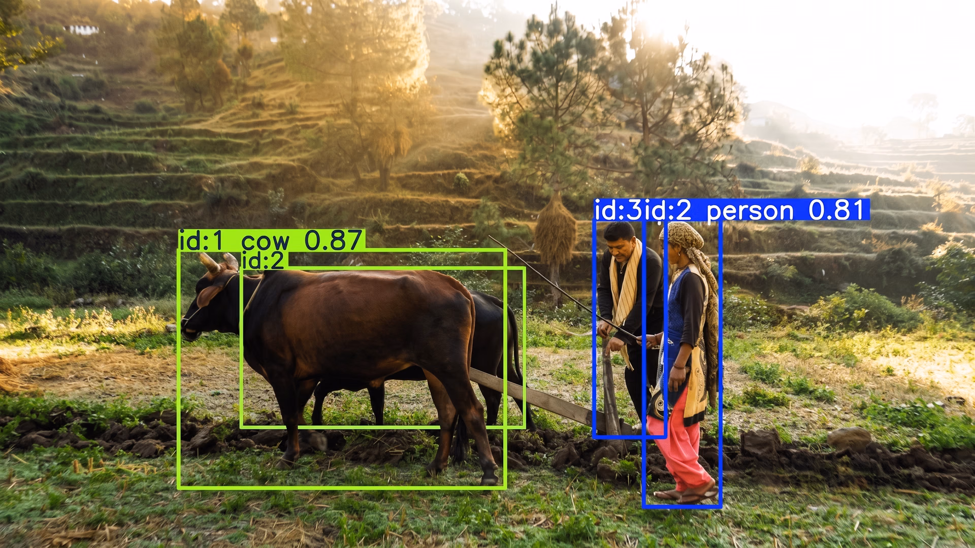 Ultralytics YOLO11を使用してオブジェクトを検出および追跡する例
