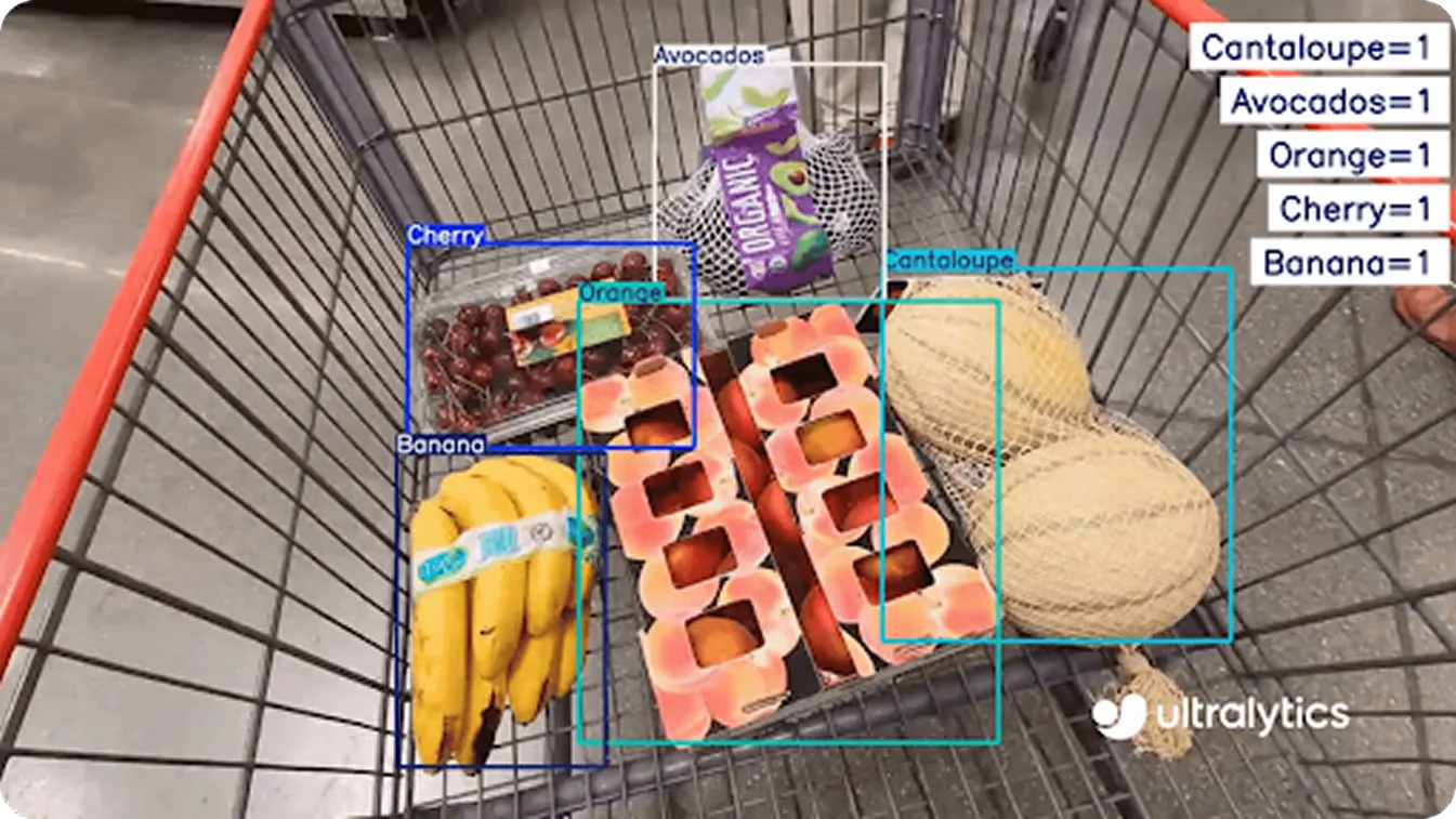An example of using Ultralytics YOLO11 for object detection
