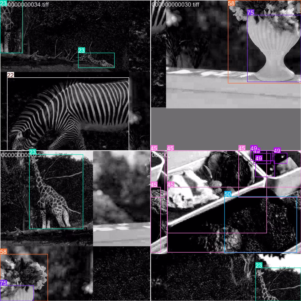 COCO8 multispectral dataset mosaic training batch