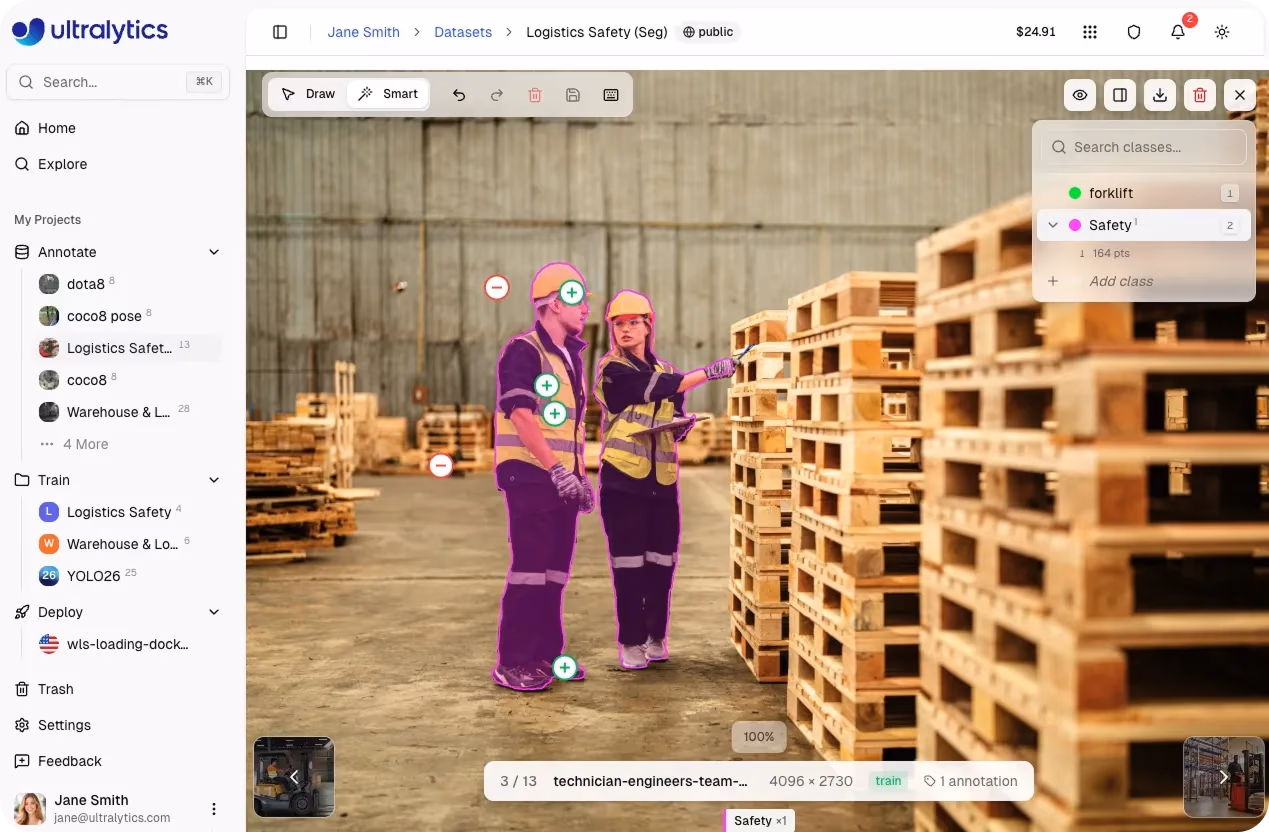 AI-assisted segmentation using the Smart annotation tool
