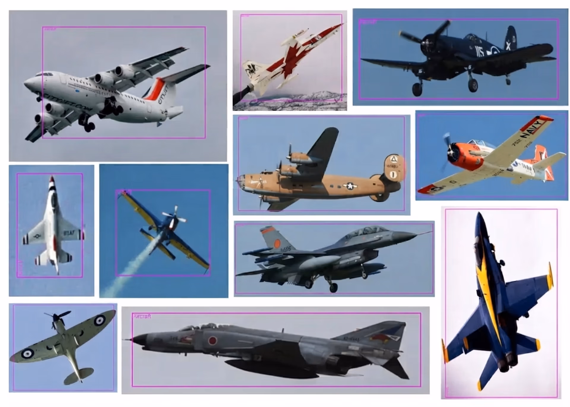 Sample images from the Open Images V7 dataset