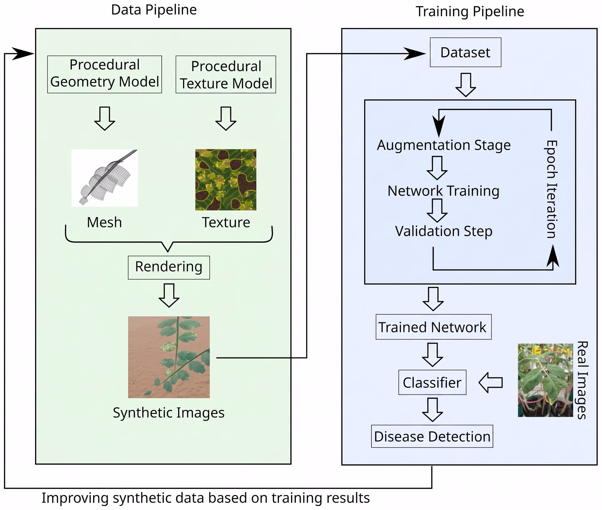 Using synthetic images for improved plant disease detection