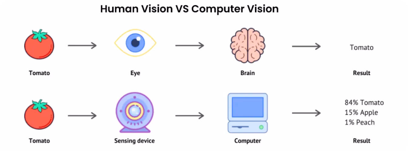 Vergleich von menschlichem Sehen und Computer Vision