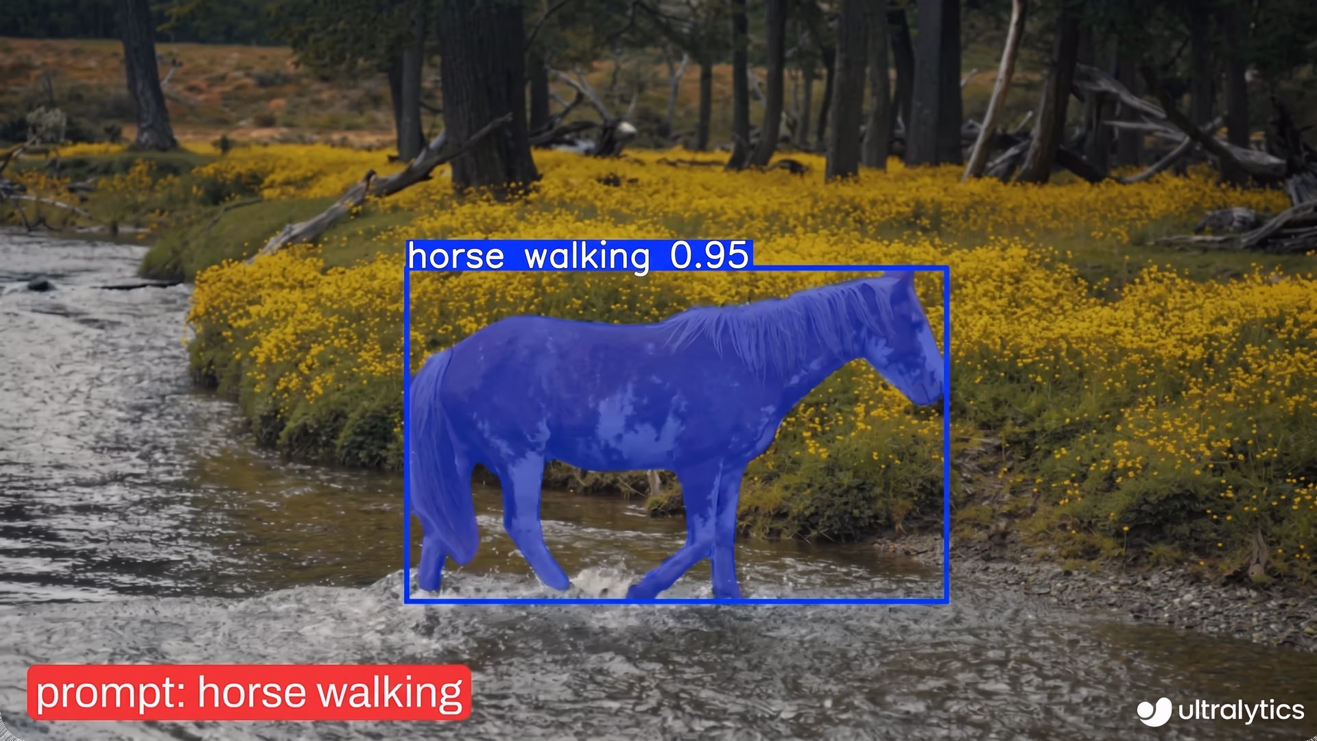 Using YOLOE to detect specific objects with a text prompt