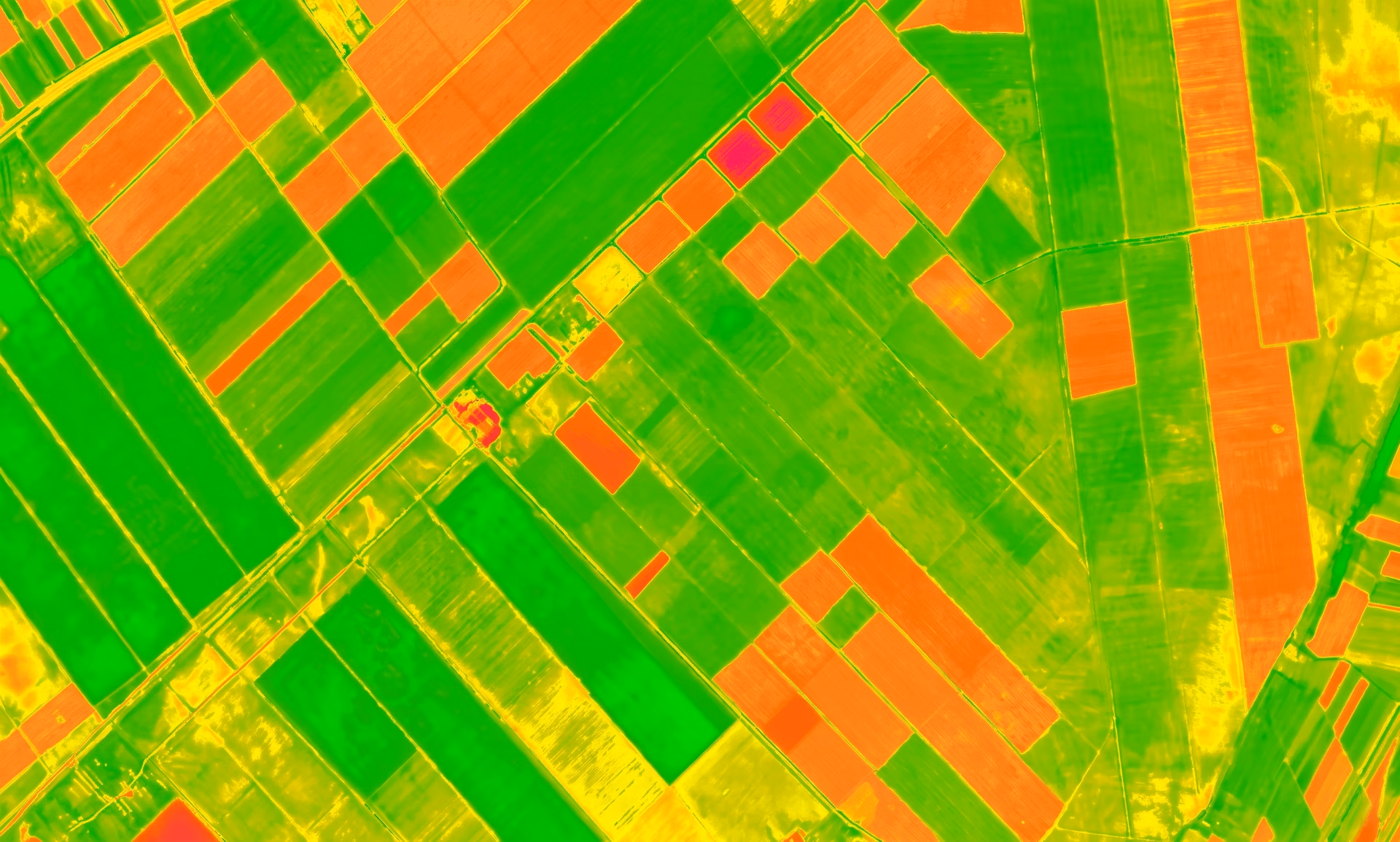 Satellite image of maize production with healthier vegetation shown brighter