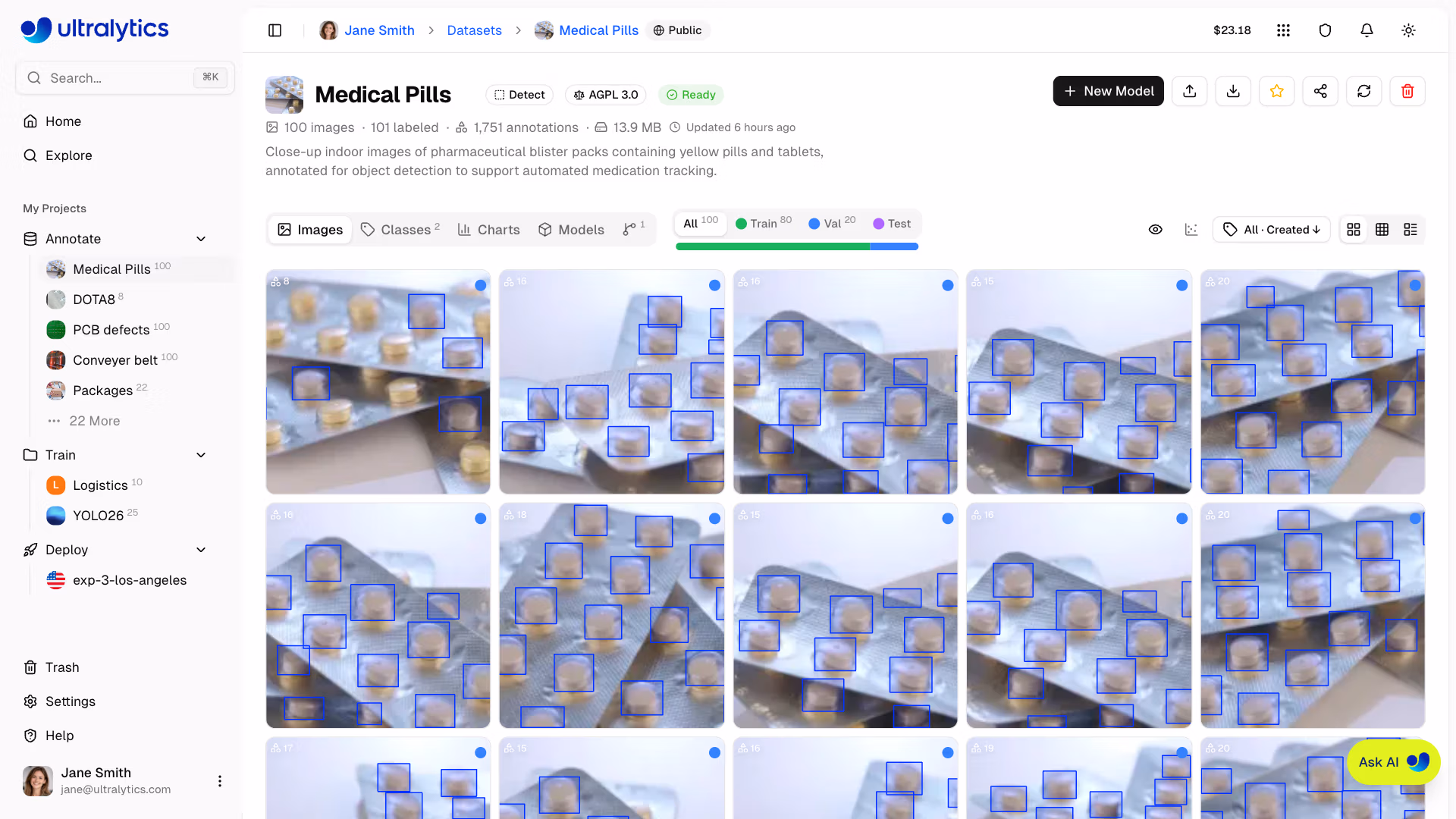 Ultralytics Platform Datasets Gallery Grid View With Annotations