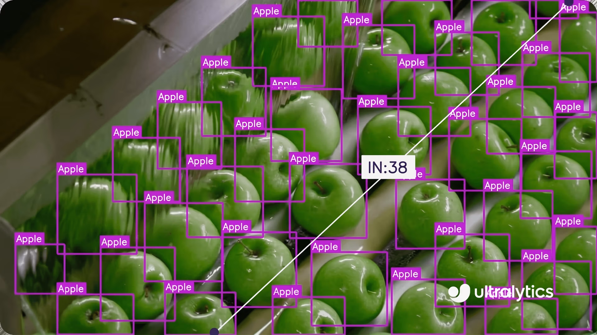 Ultralytics YOLO11 detectando y estimando el rendimiento de manzanas verdes