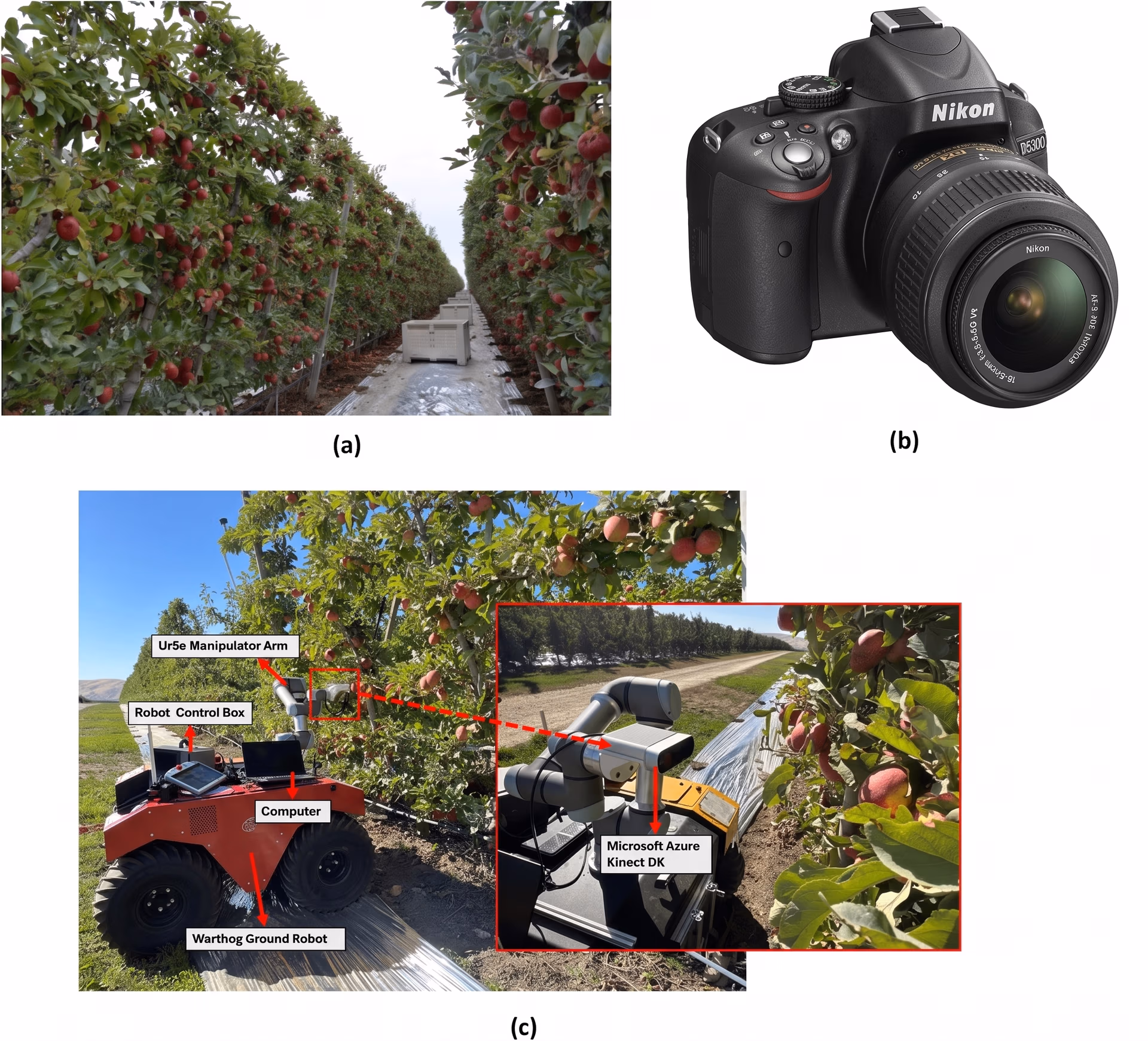 Computer vision setup monitoring an apple orchard with a depth camera
