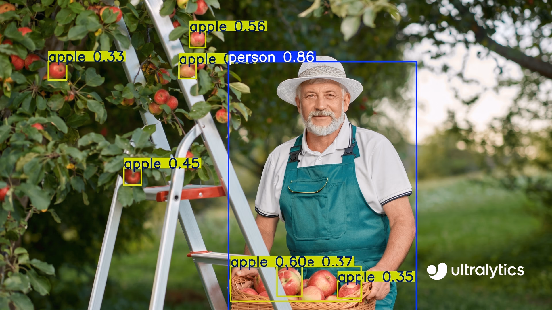 Using Ultralytics YOLO11 in agriculture