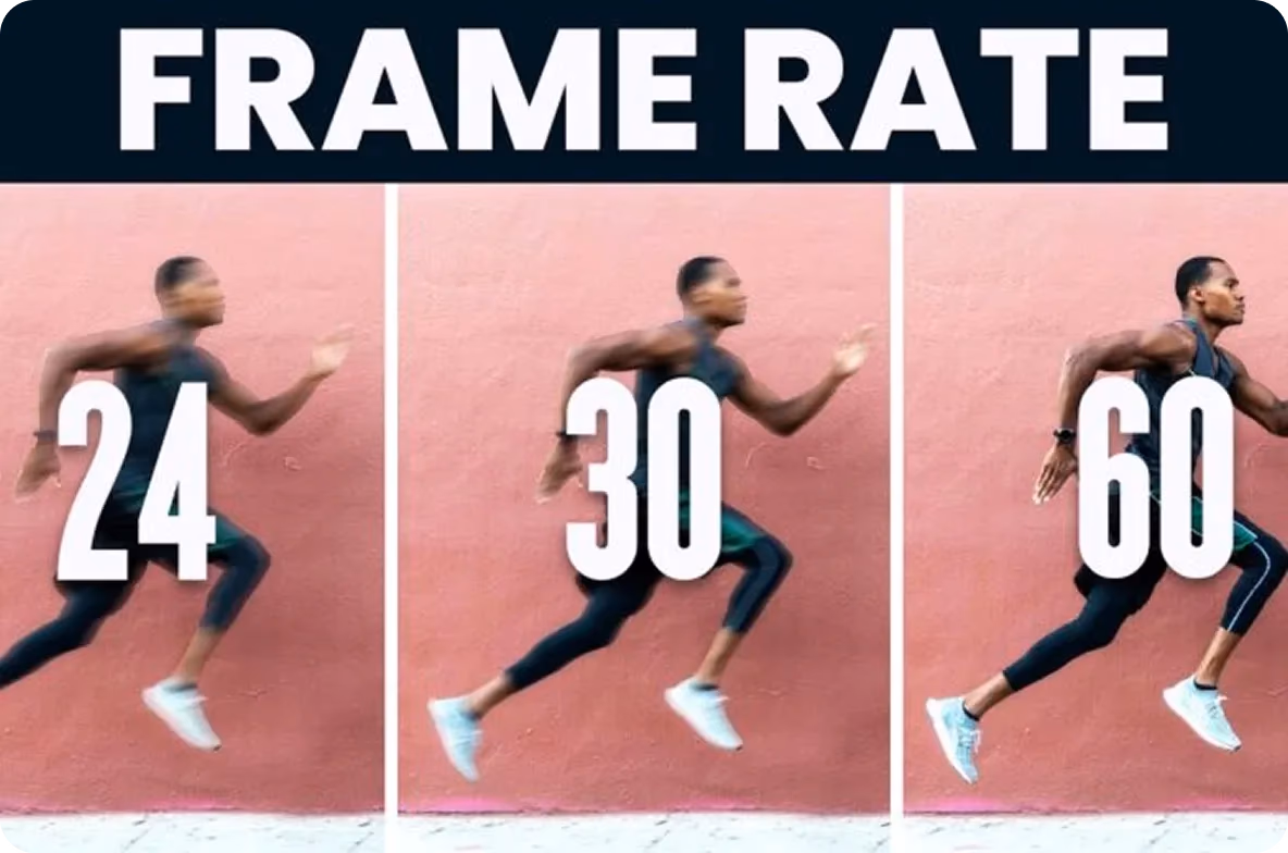 Comparaison de différentes fréquences d'images