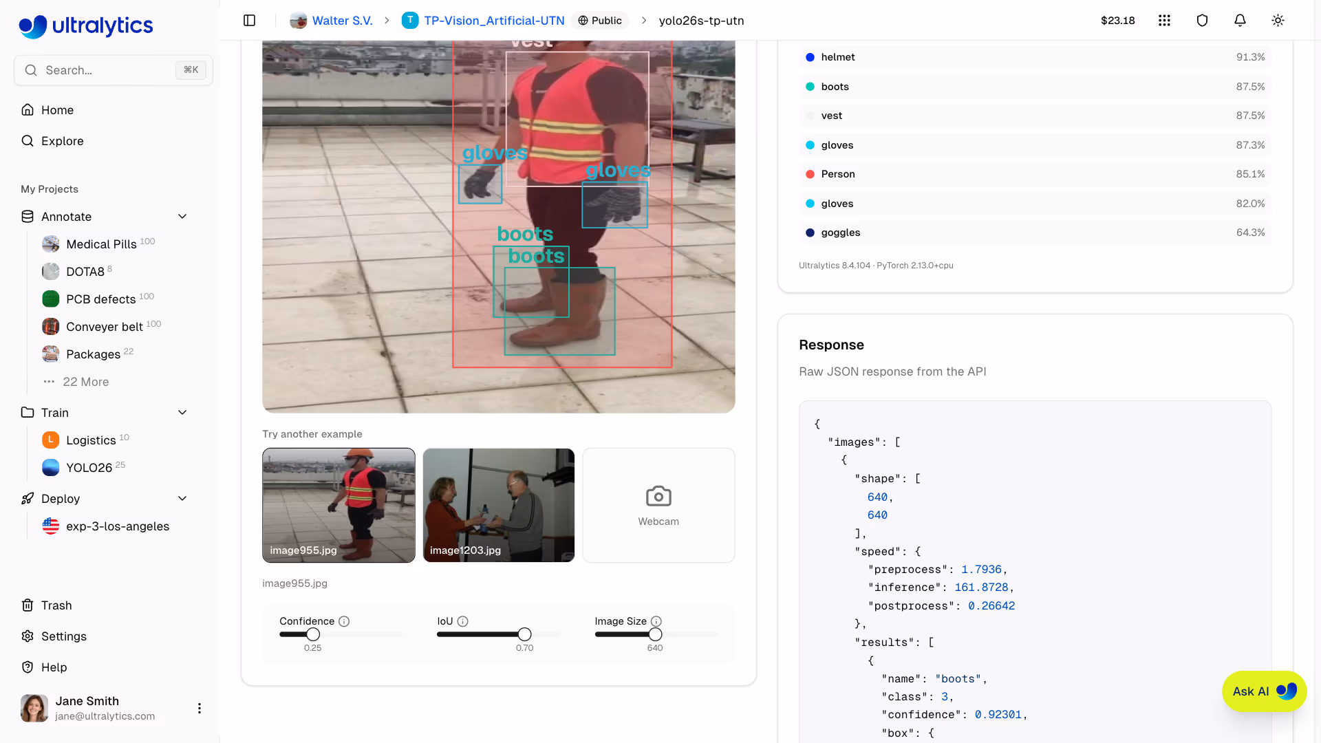 Ultralytics Platform Predict Tab Json Response View