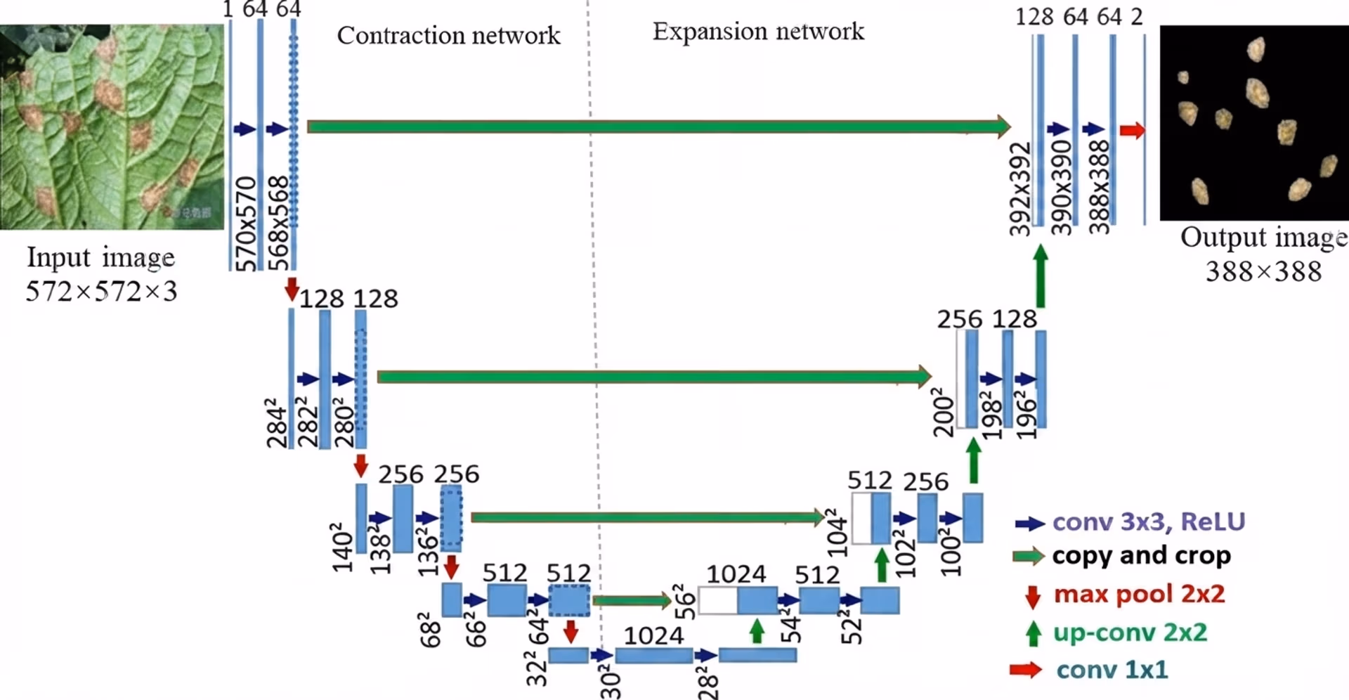 Diagram of the U-Net encoder-decoder architecture
