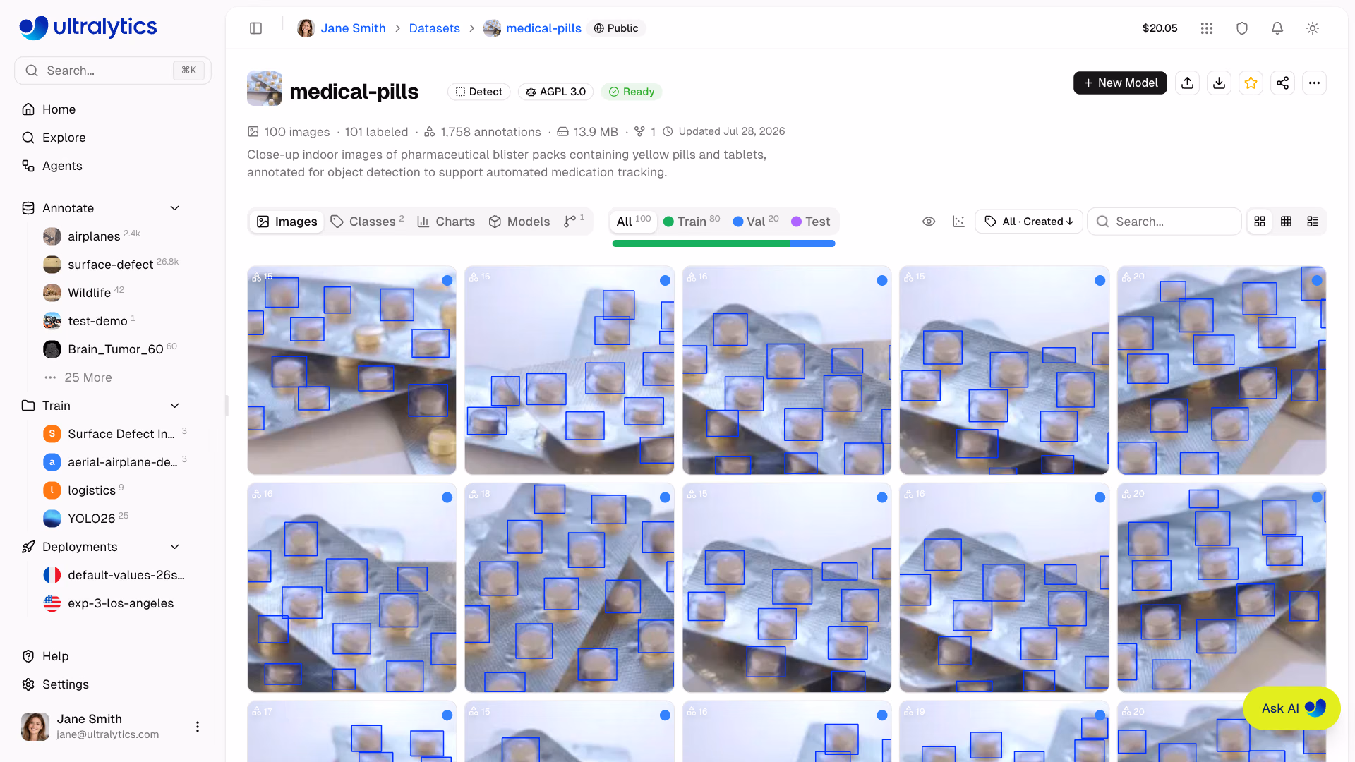 Ultralytics Platform Dataset Screenshot