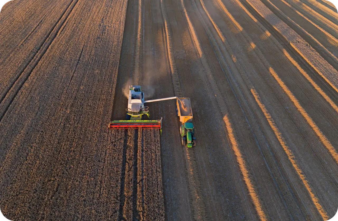 Real-time AI tailored to your operation