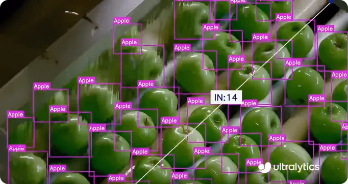 Comptage de pommes sur une image avec YOLO11