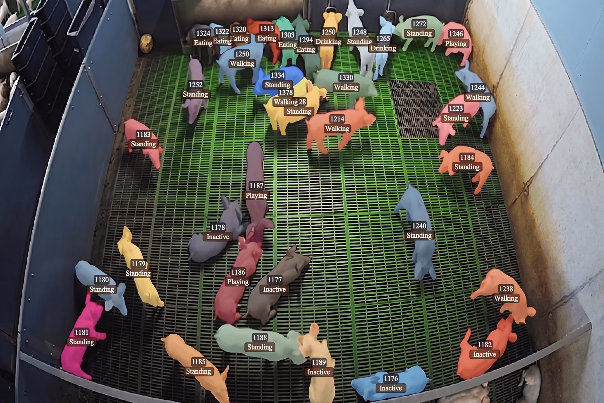 Monitoring pigs using computer vision