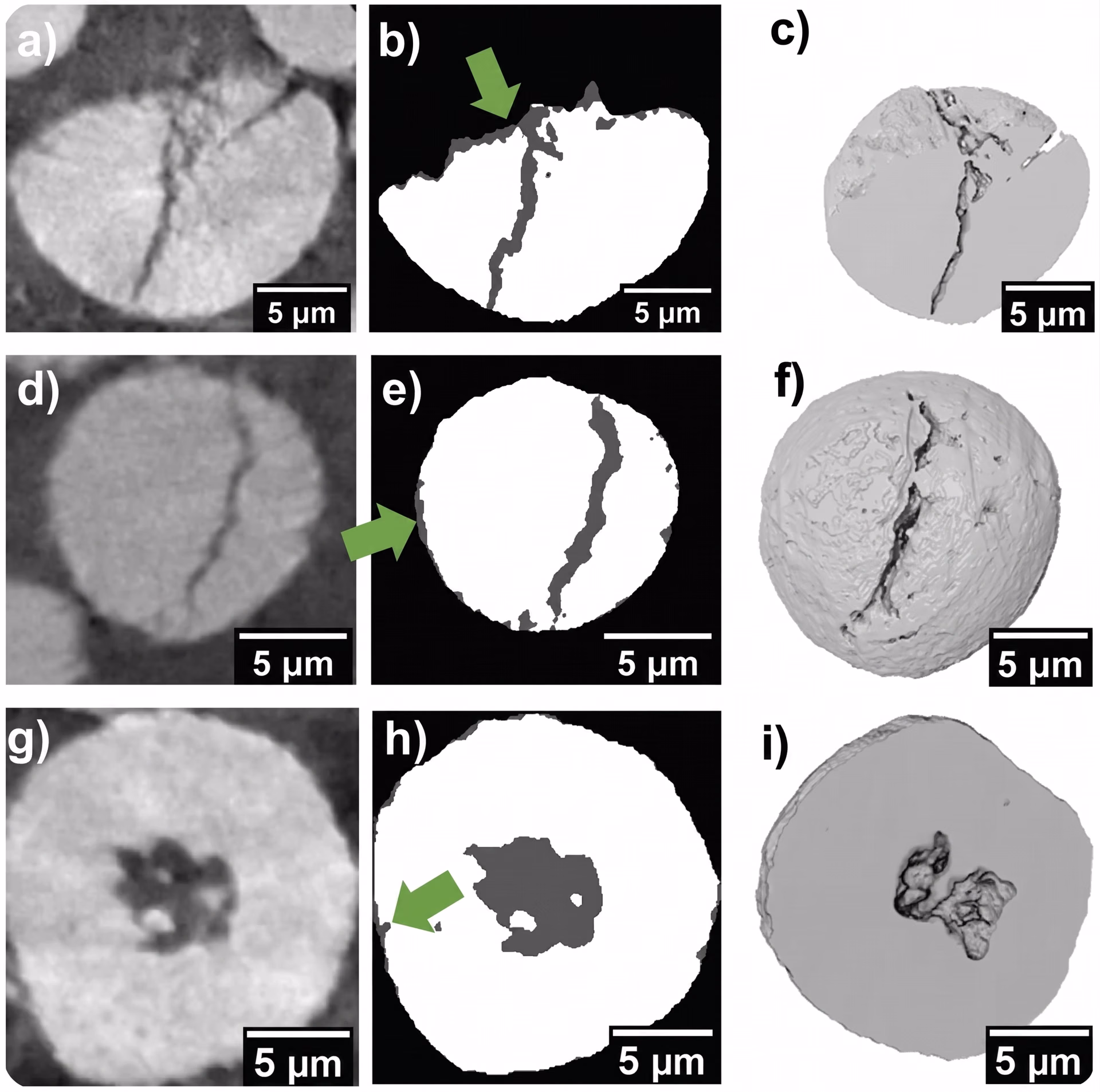 Examples of cracked and flawed battery electrode particles