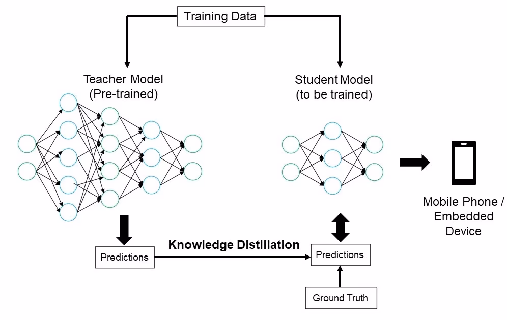 Knowledge distillation training process