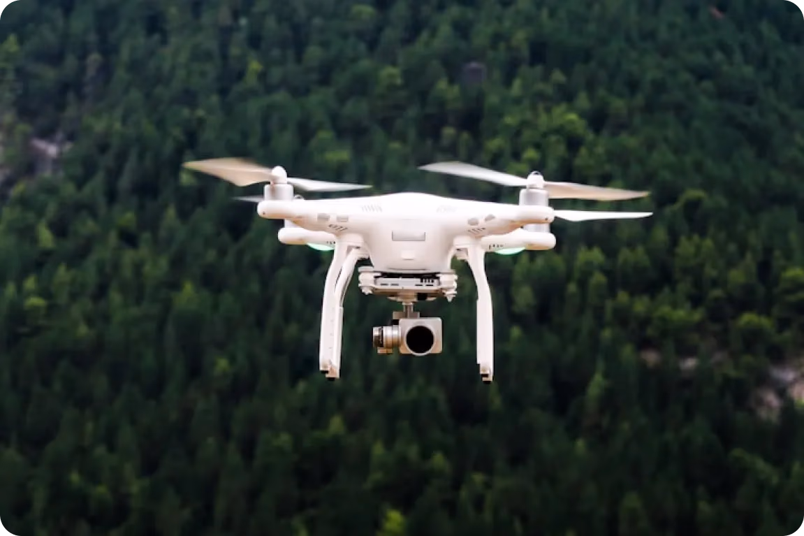 Un drone che sorvola una foresta