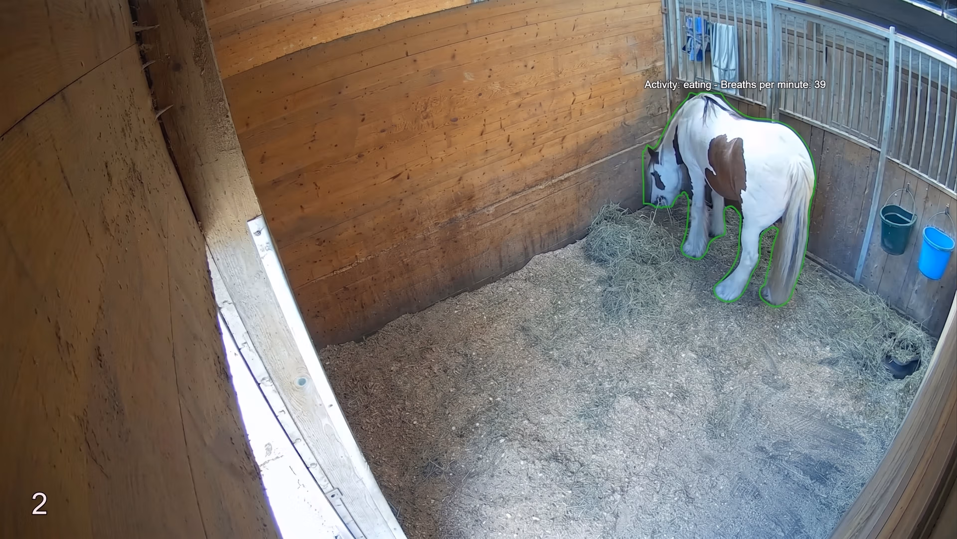 Monitoring horses with the help of behavioral AI