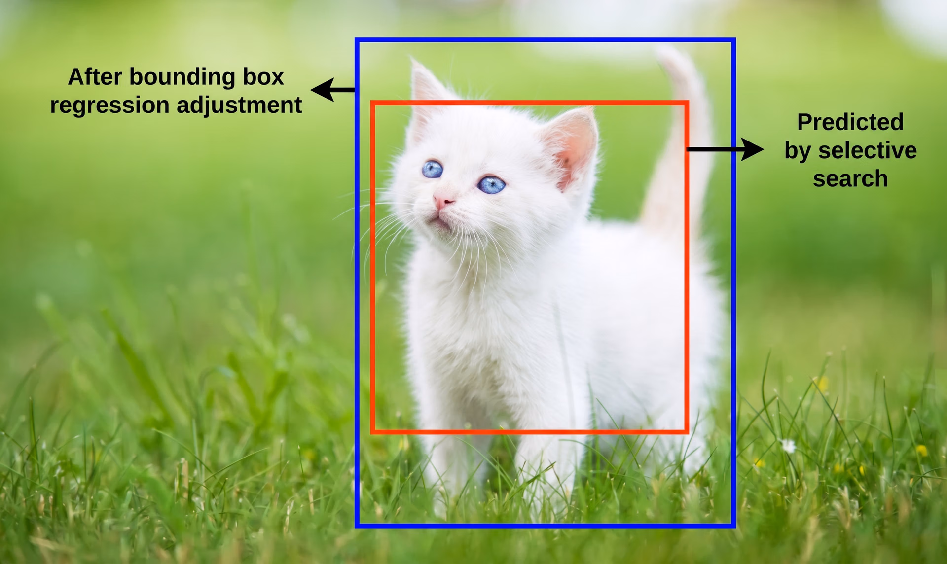 Example of bounding box regression