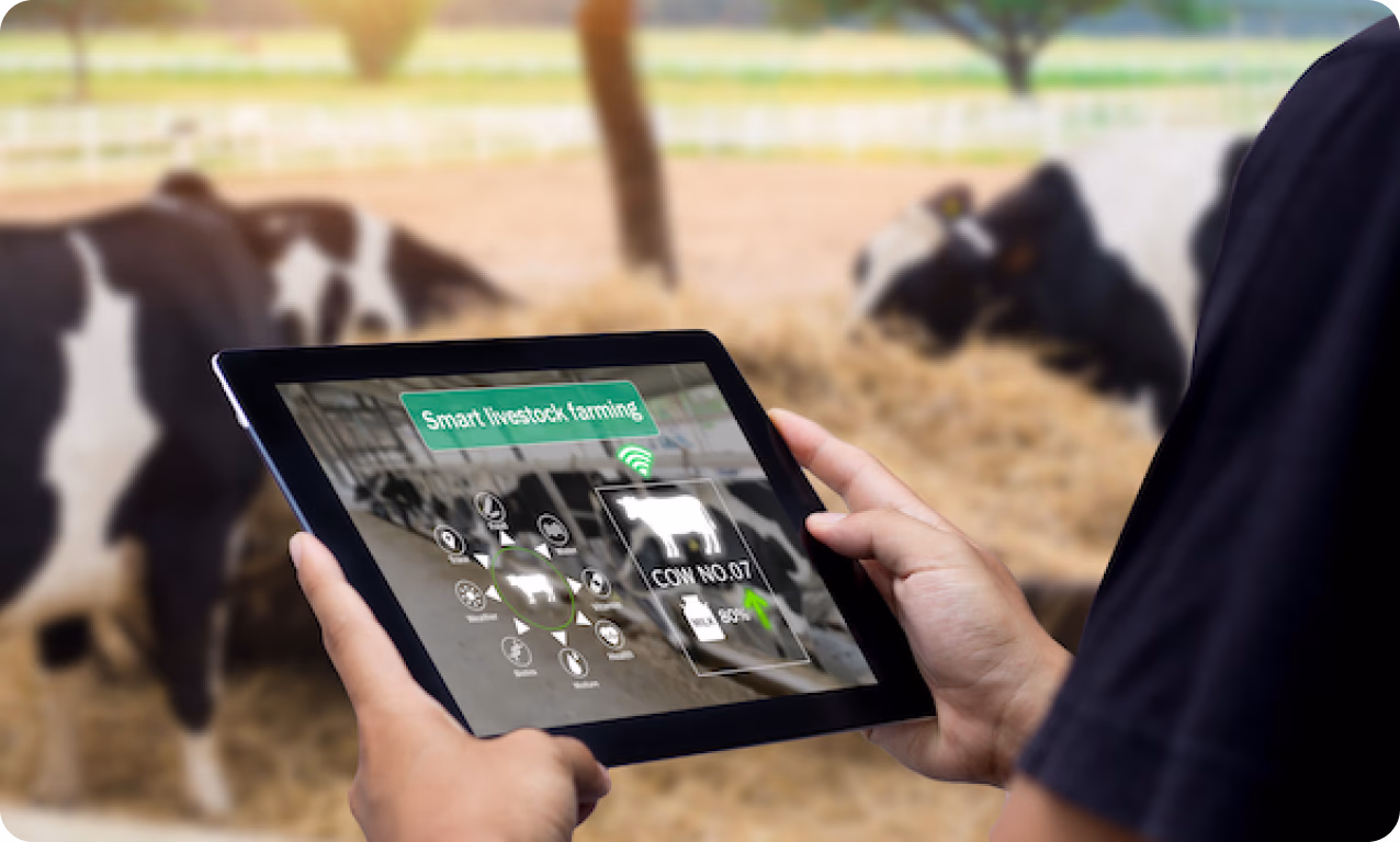 La vita quotidiana di un agricoltore può essere trasformata dall'IA