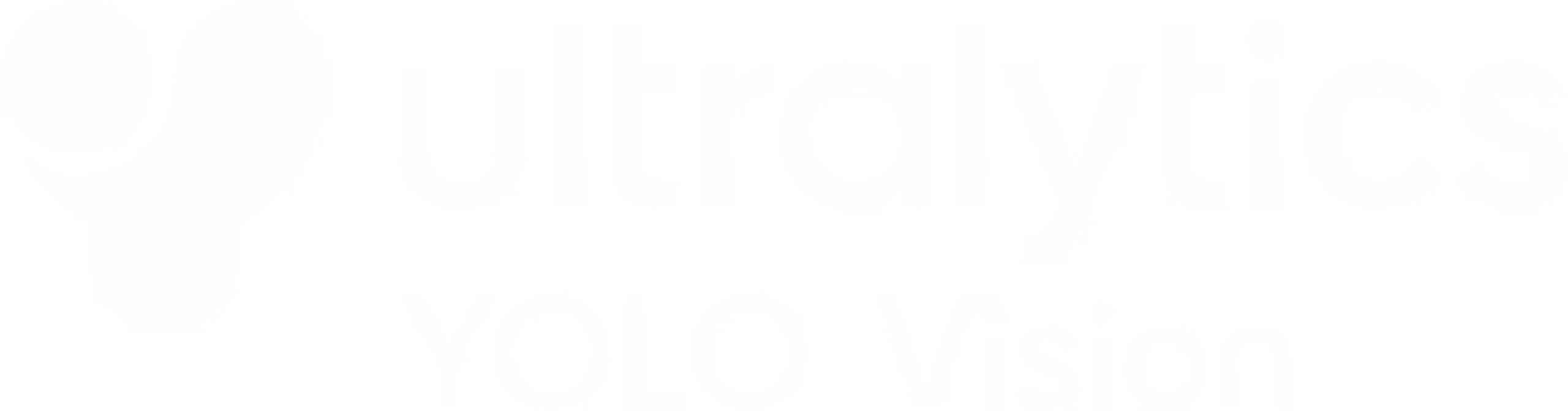 YOLO Vision 2024