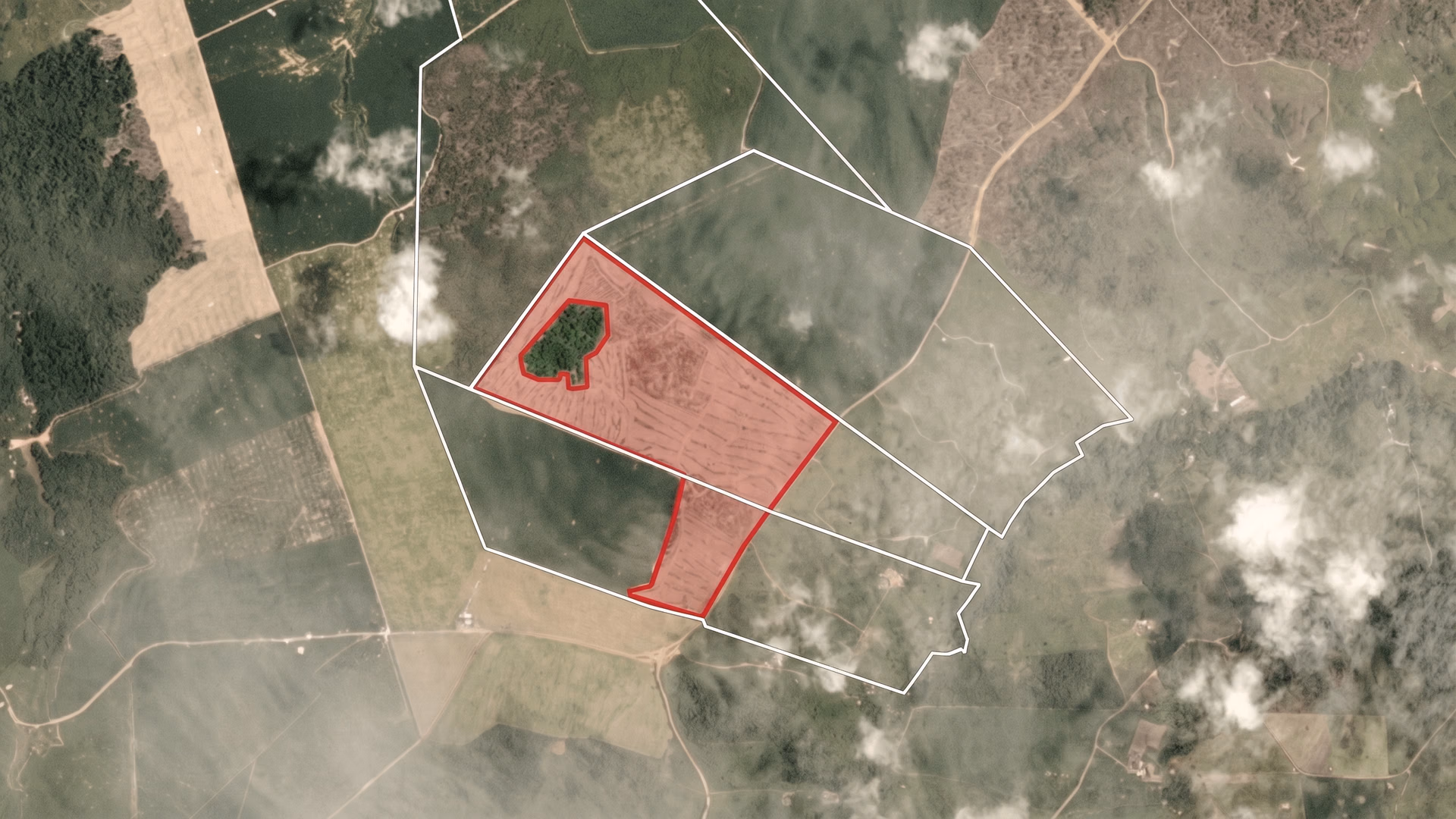 Satellite imagery of multiple field areas
