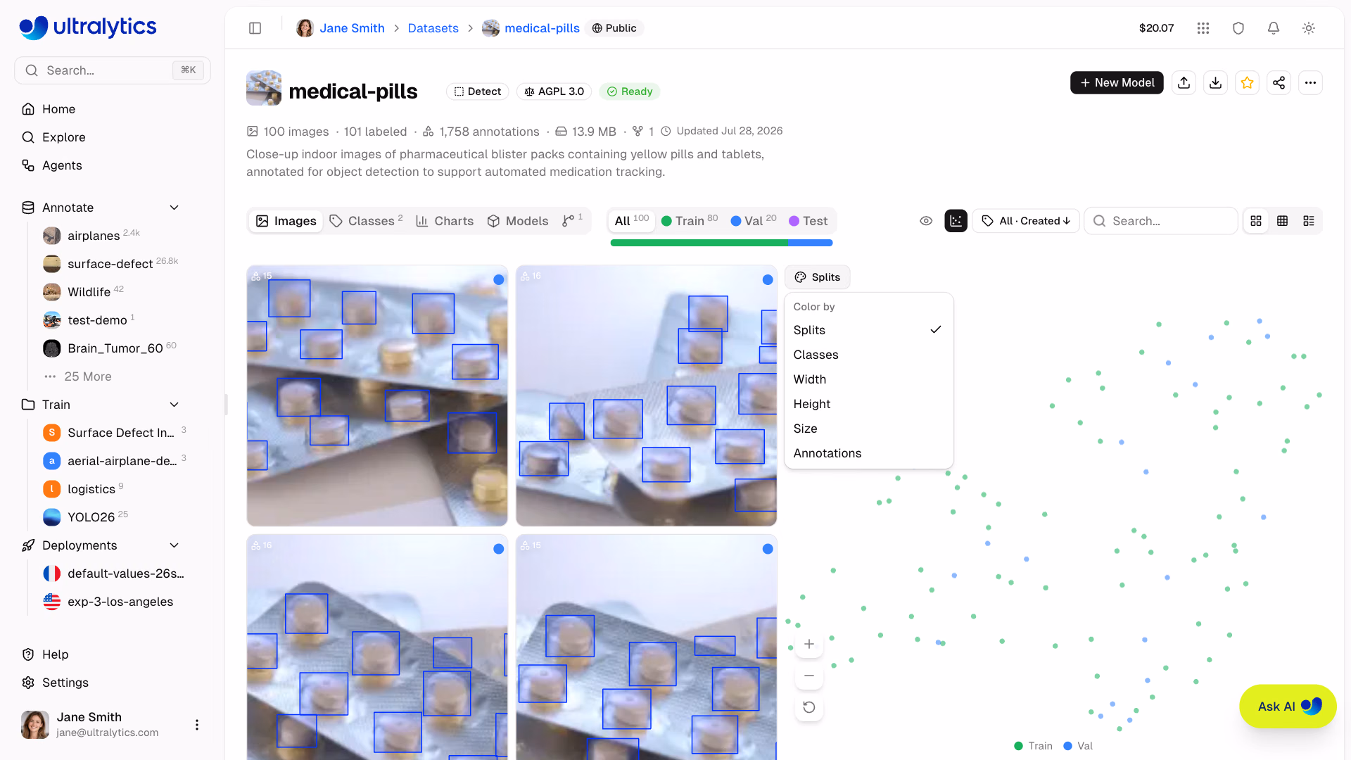Ultralytics Platform Datasets Clustering Color Modes
